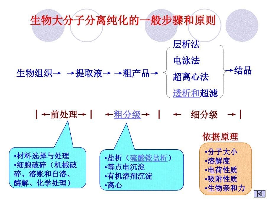 常见的生化与分子生物学技术PT课件_第5页