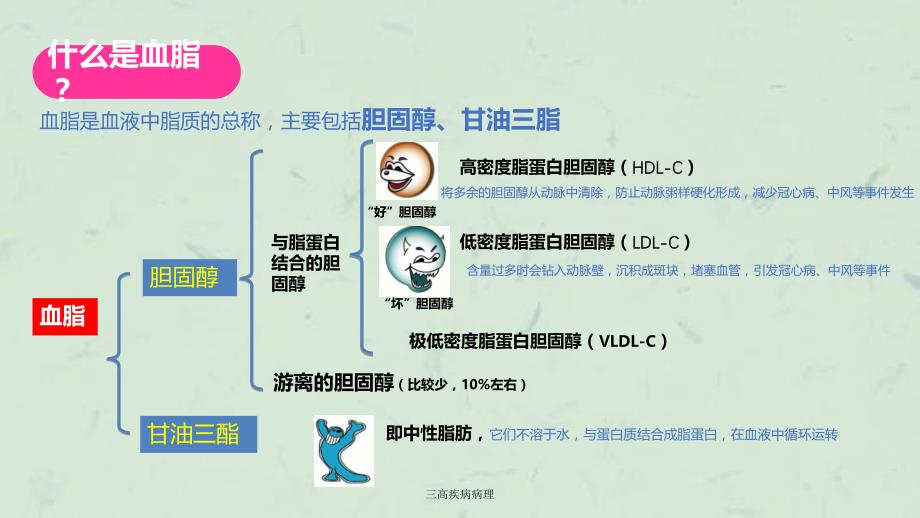 三高疾病病理课件_第4页