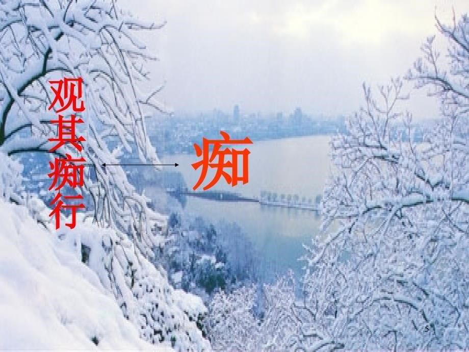 王君的湖心亭看雪PPT演示课件.ppt_第5页