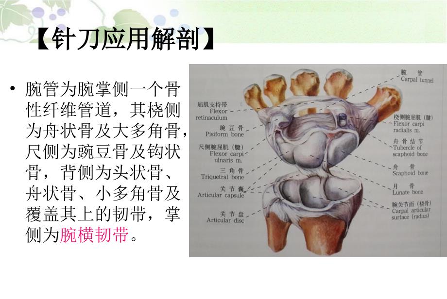 针刀治疗腕管综合征_第3页