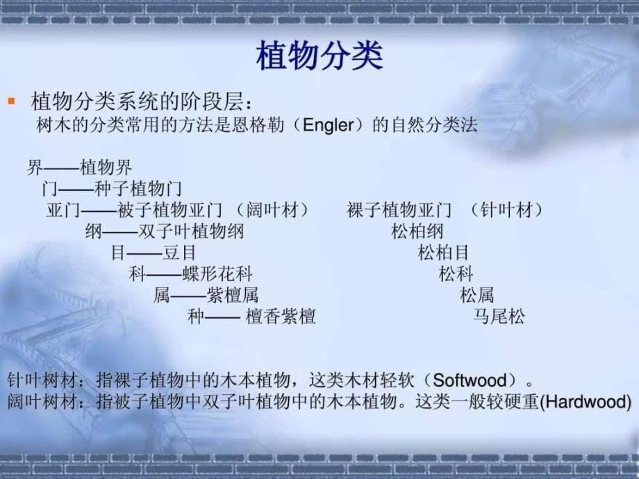 木材结构与性能培训讲义_第5页