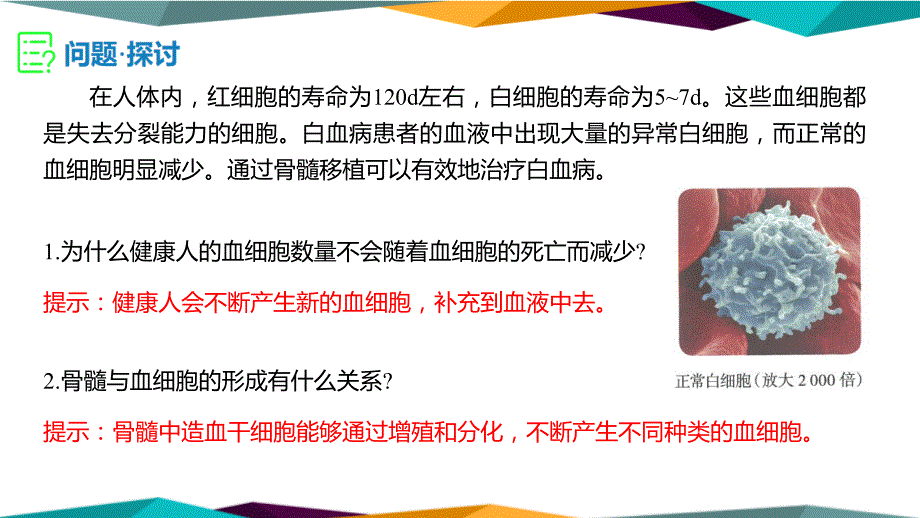 细胞的分化课件【高效备课精研+知识精讲提升】 高一上学期生物人教版（2019）必修1_第3页