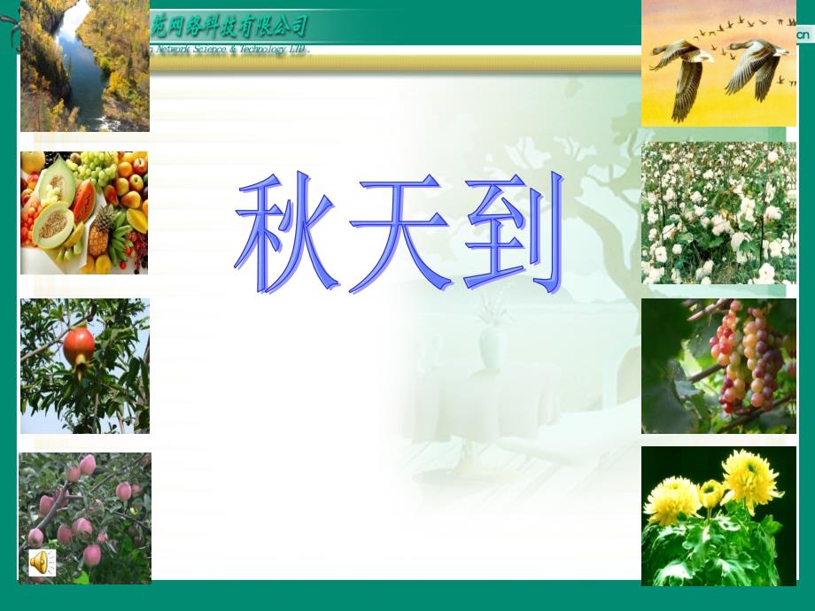天到 精品教育_第1页