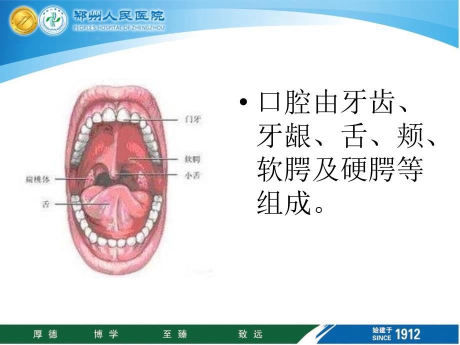 《口腔护理技术》PPT课件_第3页