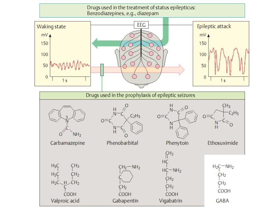 第十六章抗癫痫药和抗惊厥药课件_第4页