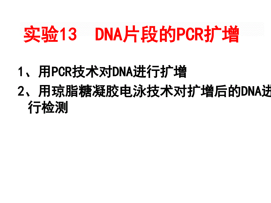 PCR扩增和电泳检测课件.ppt_第1页