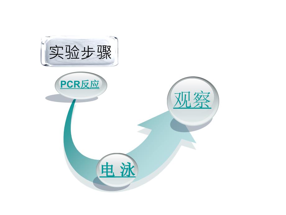 PCR扩增和电泳检测课件.ppt_第2页