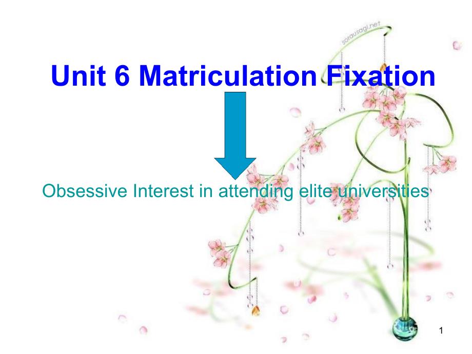 Unit6MatriculationFixationPPT演示课件_第1页