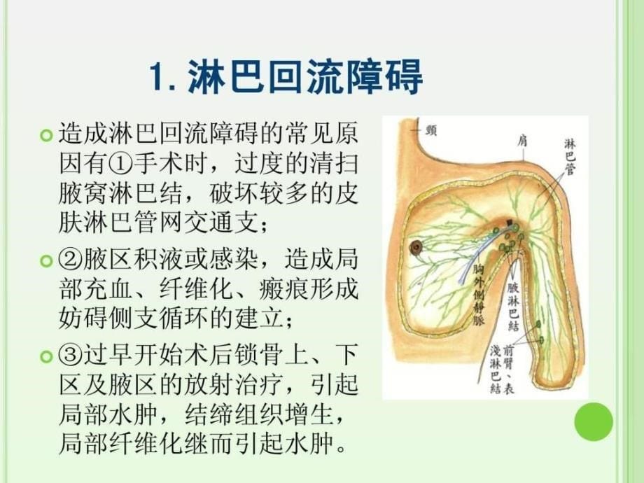 课件：乳腺癌淋巴水肿.ppt_第5页