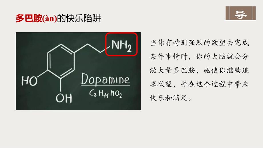 胺的结构与性质【高效备课精研+知识精讲提升】高二下学期化学苏教版（2019）选择性必修3_第3页