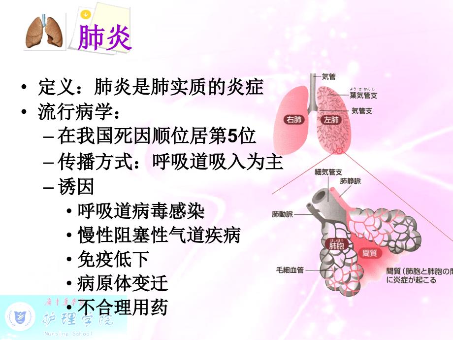 《内科护理学》肺炎病人的护理_第3页