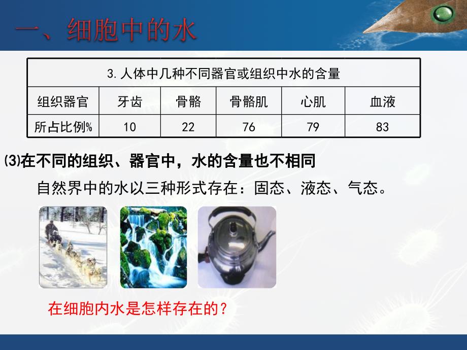 第章组成细胞的分子PPT课件_第4页