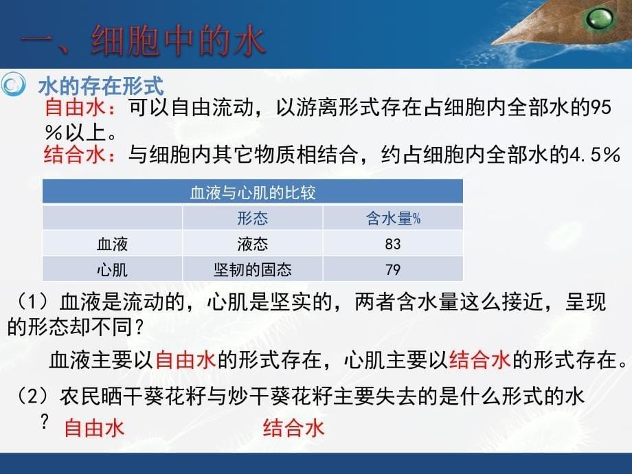 第章组成细胞的分子PPT课件_第5页