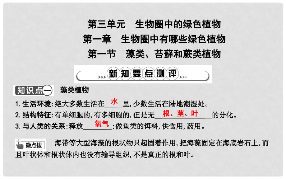 七年级生物上册 3.1.1藻类、苔藓和蕨类植物复习课件 （新版）新人教版_第1页