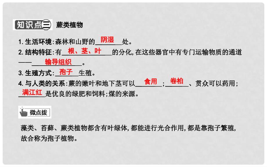 七年级生物上册 3.1.1藻类、苔藓和蕨类植物复习课件 （新版）新人教版_第3页