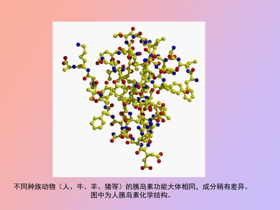 文献演讲胰岛素_第3页