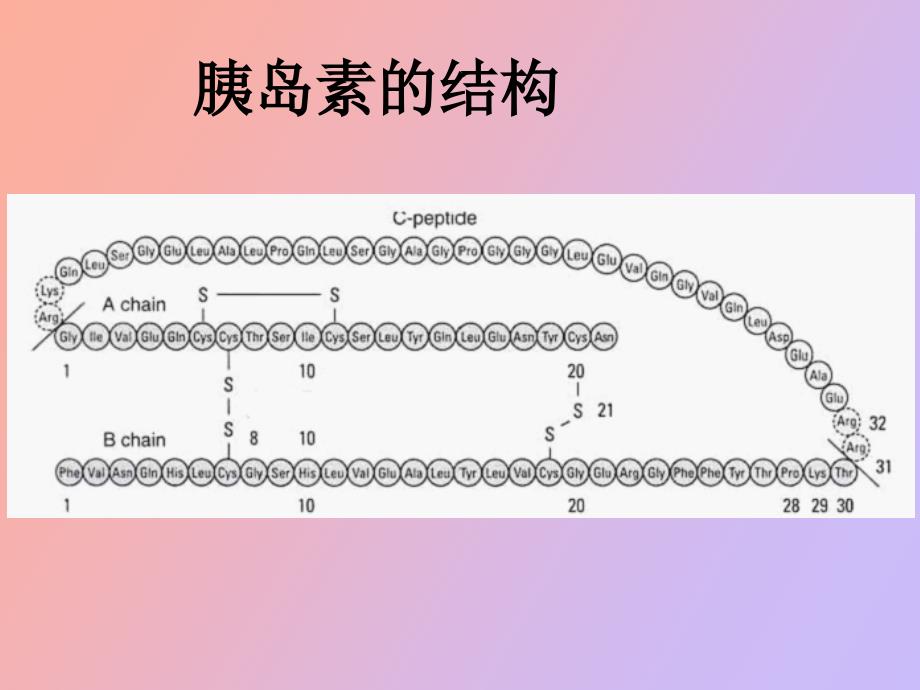 文献演讲胰岛素_第4页