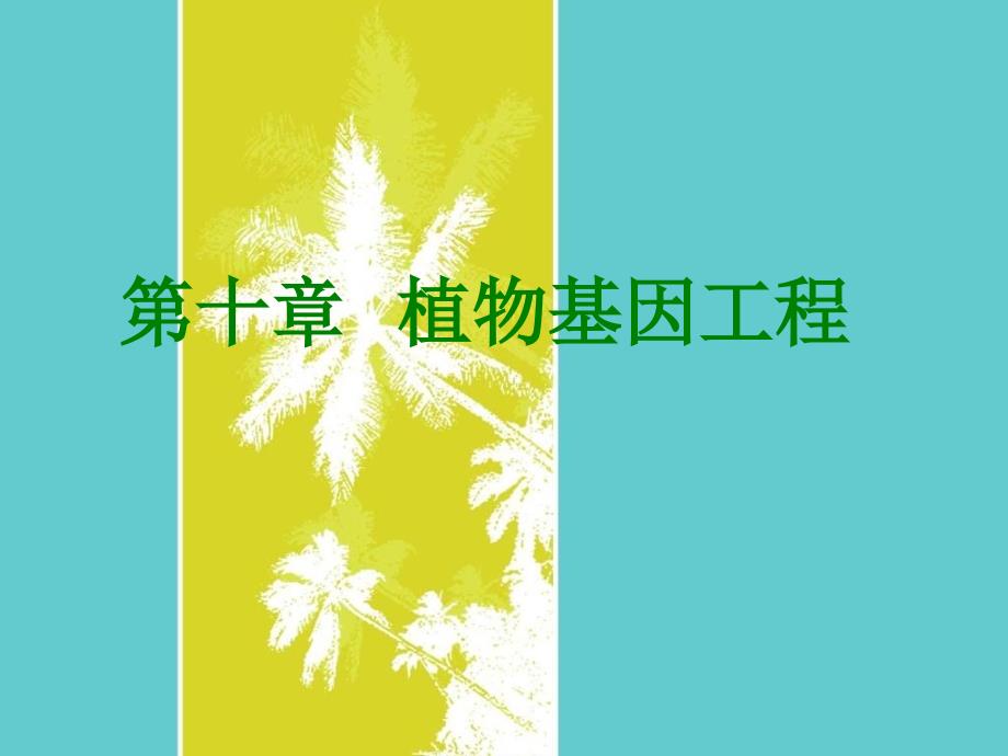 第10章植物基因工程基因工程原理与技术刘志国课件_第1页