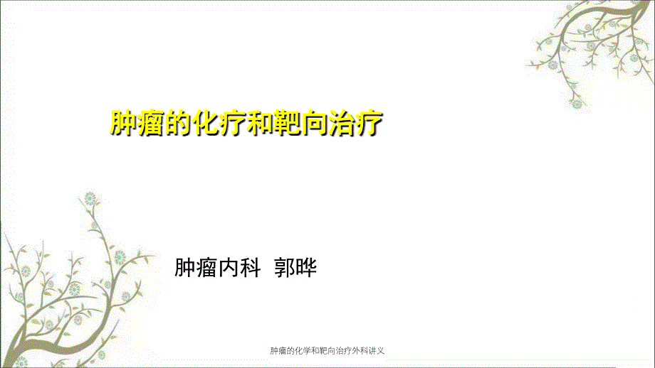 肿瘤的化学和靶向治疗外科讲义课件_第1页