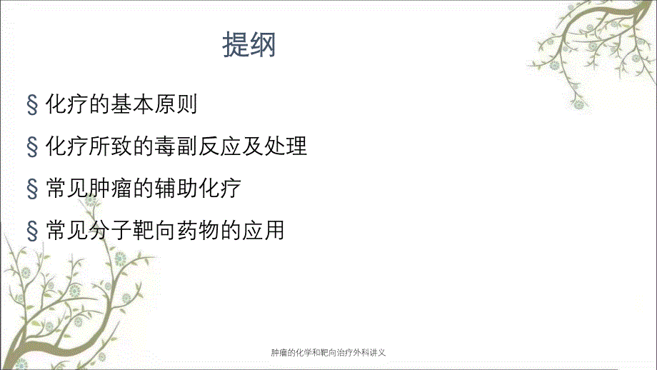 肿瘤的化学和靶向治疗外科讲义课件_第2页