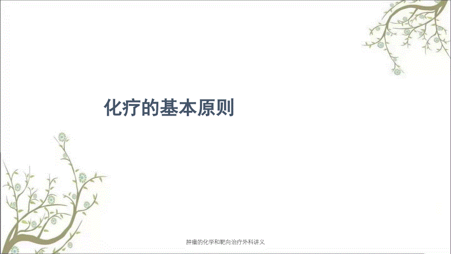 肿瘤的化学和靶向治疗外科讲义课件_第3页