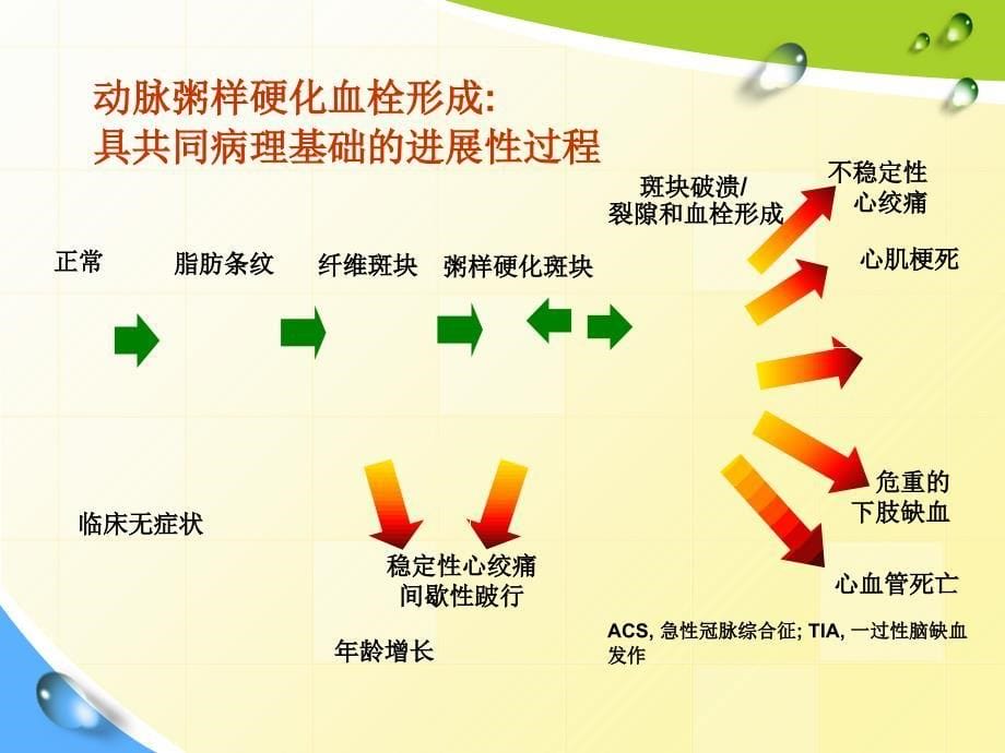 下肢动脉硬化闭塞症护理材料_第5页