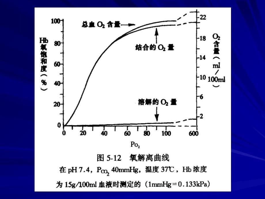 三节气体在血液中运输PPT文档_第5页