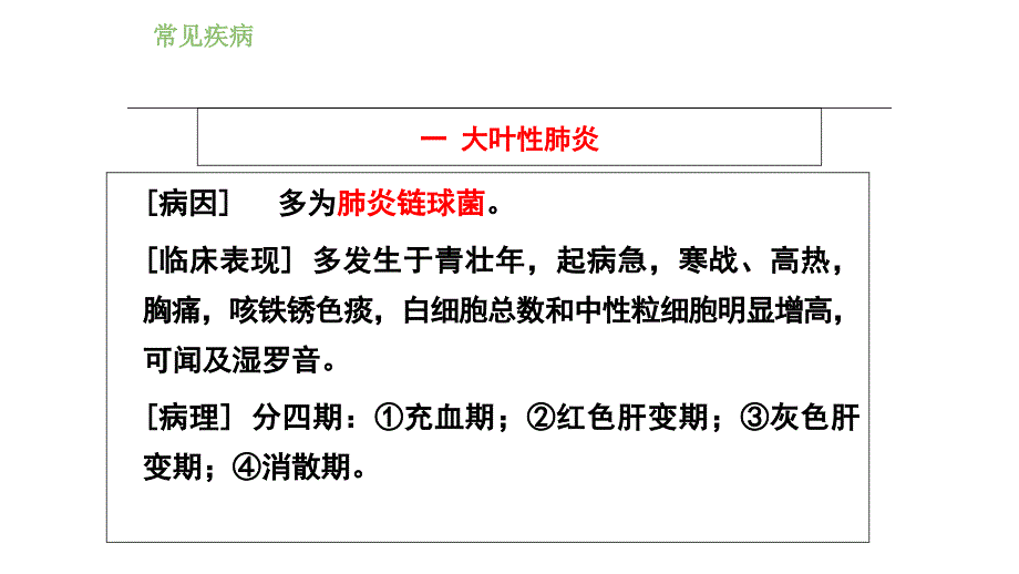 医学影像学肺炎和肺脓肿课件_第3页