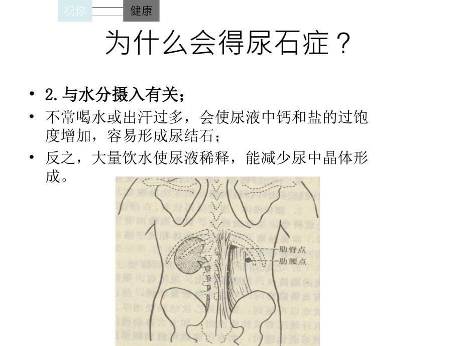 关于尿石症的预防_第5页