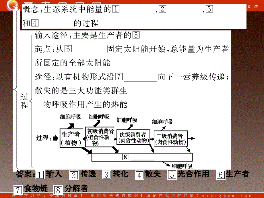 高考生物一轮复习课件：必修3 第5章生态系统及其稳定性 第2、3节生态系统的功能——能量流动和物质循环_第3页