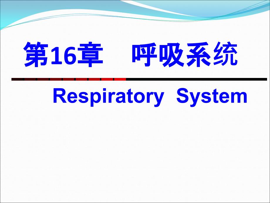 组织学与胚胎学：16呼吸系统(3)_第1页