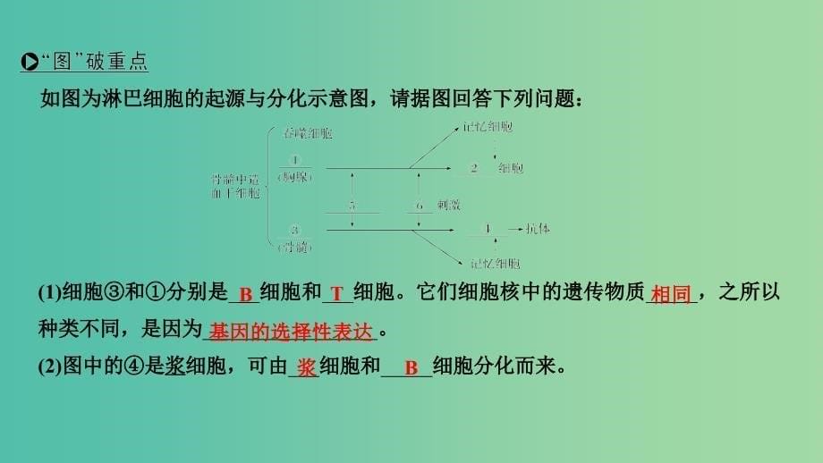 2019版高考生物大一轮复习 第八单元 生物个体的稳态 第24讲 免疫调节对人体稳态的维持课件 苏教版.ppt_第5页