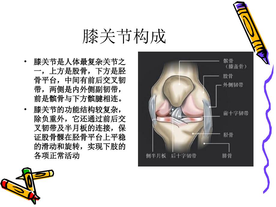 关节镜下游离体摘除术文档资料_第3页