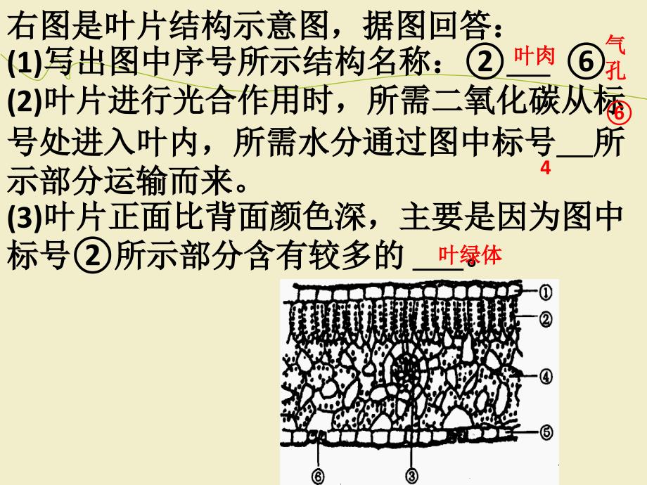 光合作用呼吸作用蒸腾作用识图_第4页