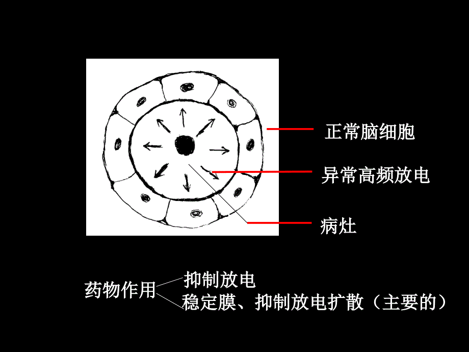 药理学第2版16抗癫痫药_第3页