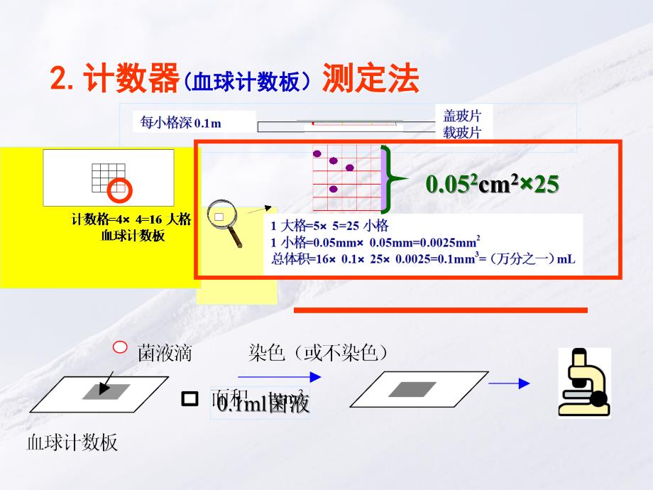 环境微生物学教学课件132生长量测定方法_第4页