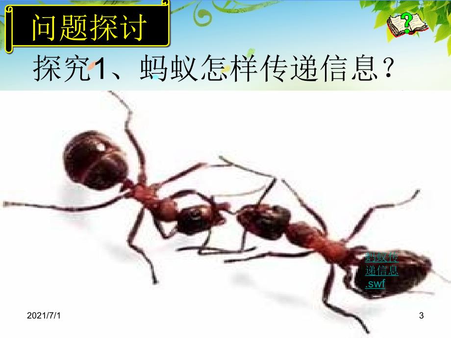 生物是怎样传递信息的_第3页