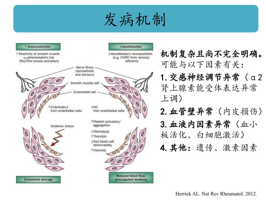 A型肉毒毒素治疗雷诺综合征初步临床研究_第4页