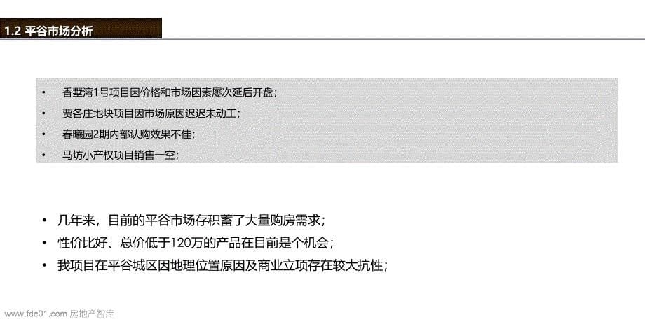 北京嘉厚炫城国际项目整盘营销策略总纲57页_第5页