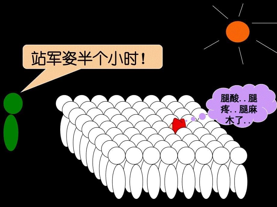 我的大学生活-PPT.ppt_第5页