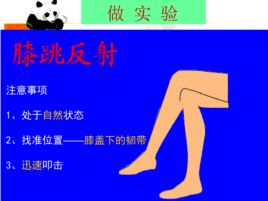 《神经调节的基本方式》课件（1）_第3页