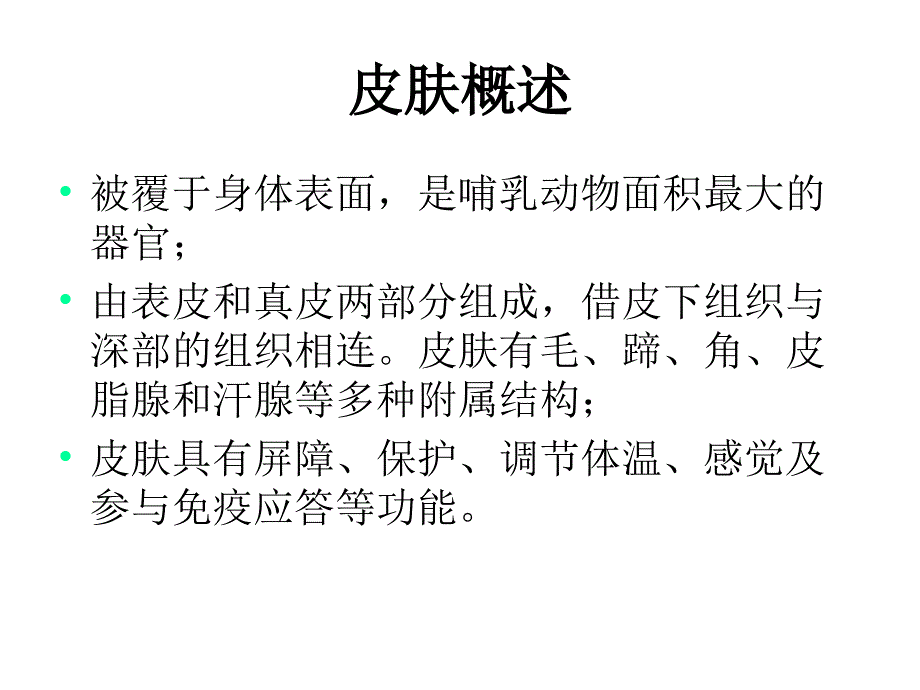 第九章皮肤动物组织胚胎学课件_第3页