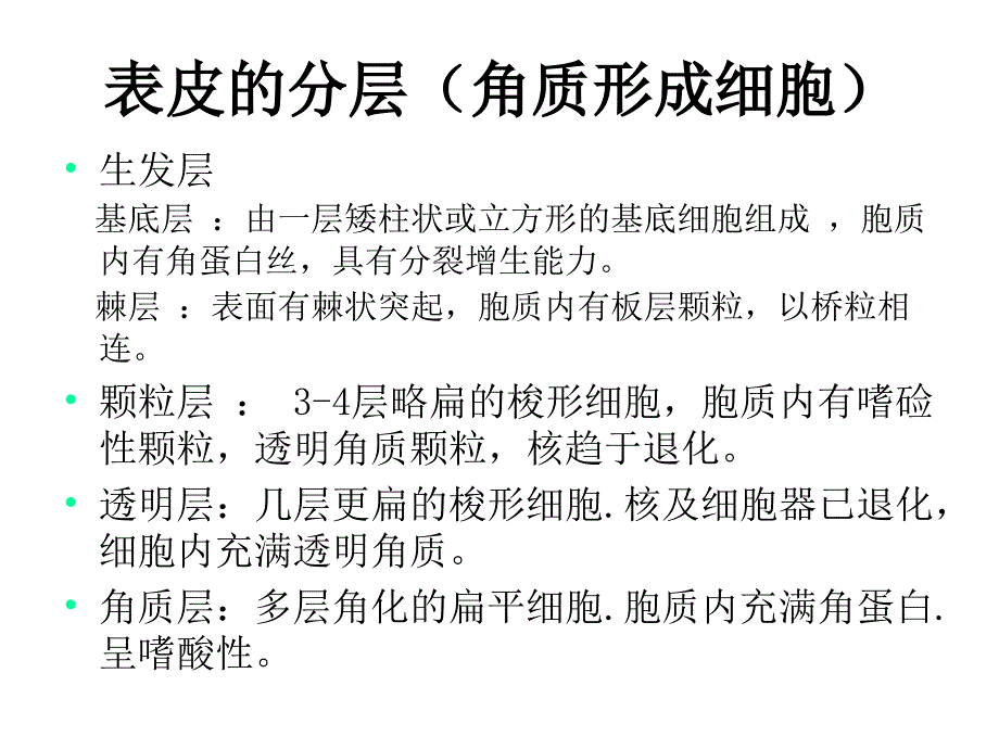 第九章皮肤动物组织胚胎学课件_第4页