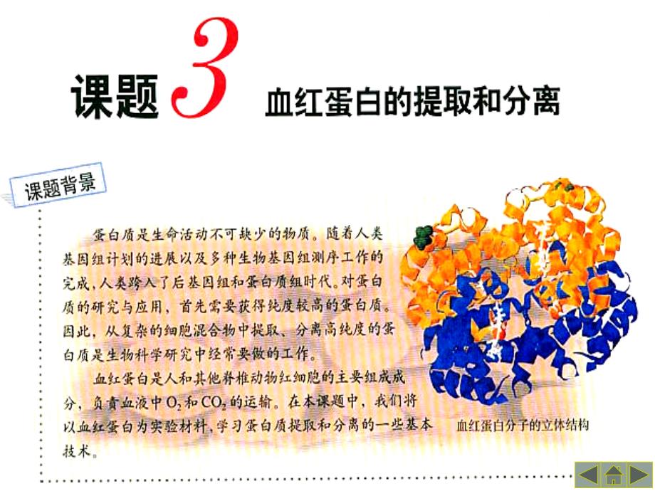 高中生物《第五章 第三节 血红蛋白的提取和分离》课件1 新人教版选修1_第1页