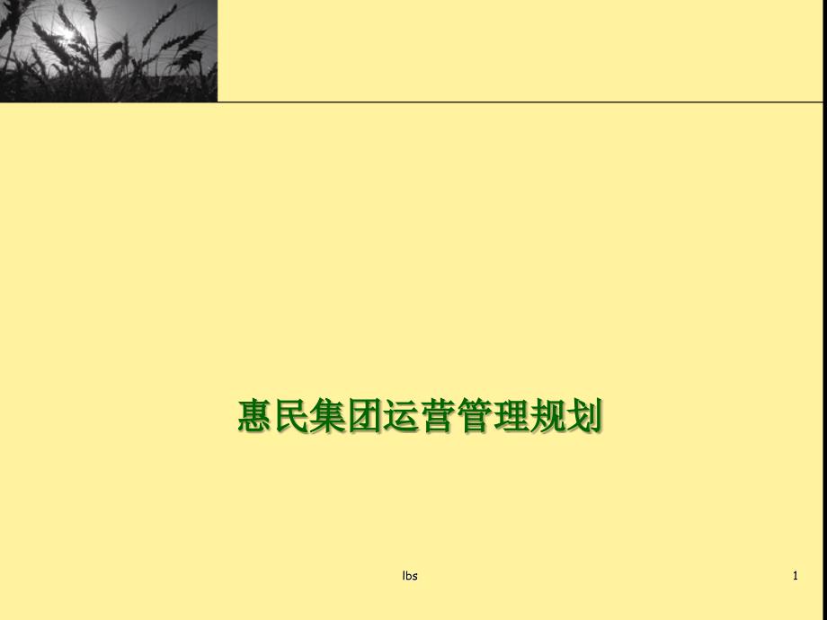 惠民集团运营管理规划_第1页