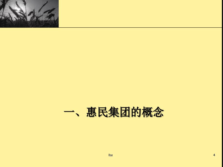 惠民集团运营管理规划_第4页