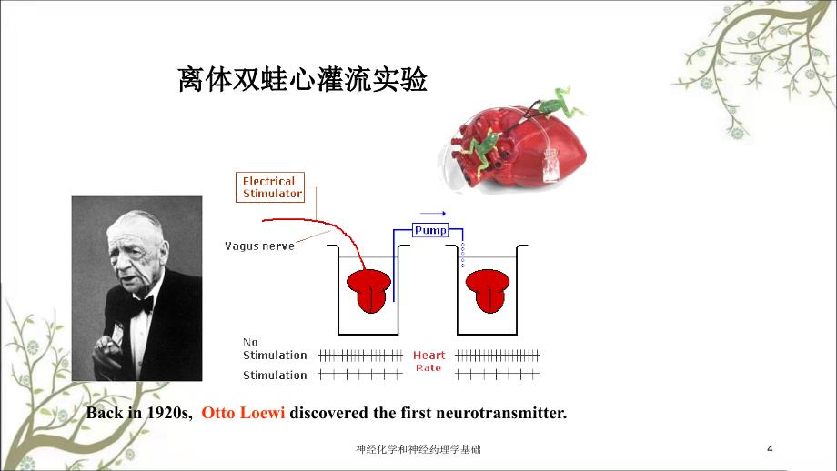 神经化学和神经药理学基础_第4页