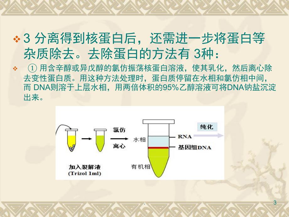 DNA提取过程及原理课堂PPT_第3页