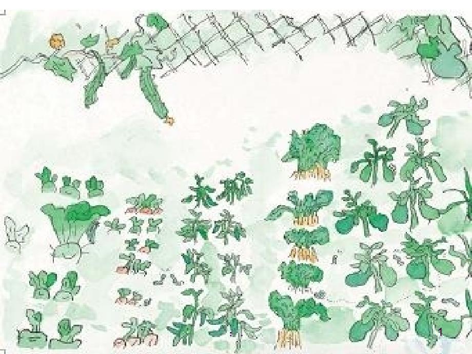 一园青菜成了精2ppt课件_第1页