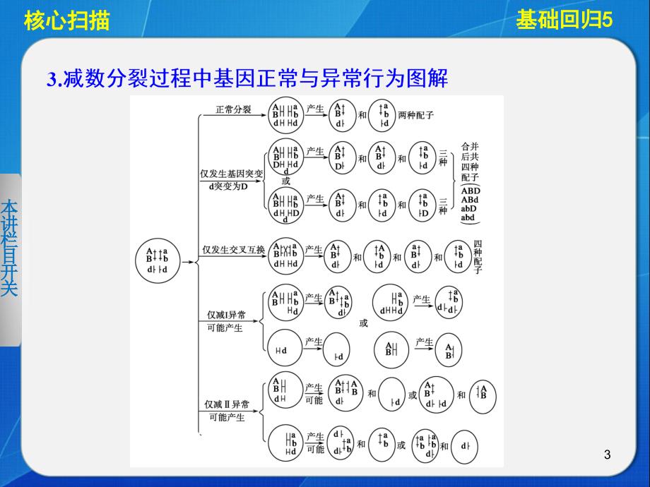 基础回归细胞的生命历程_第3页